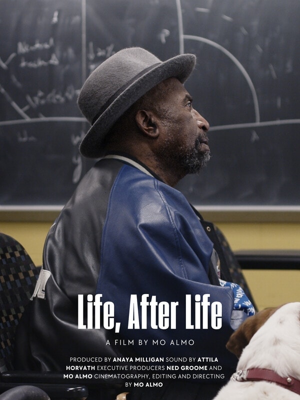 Life, After Life poster
