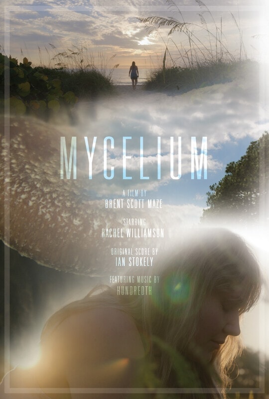Mycelium poster