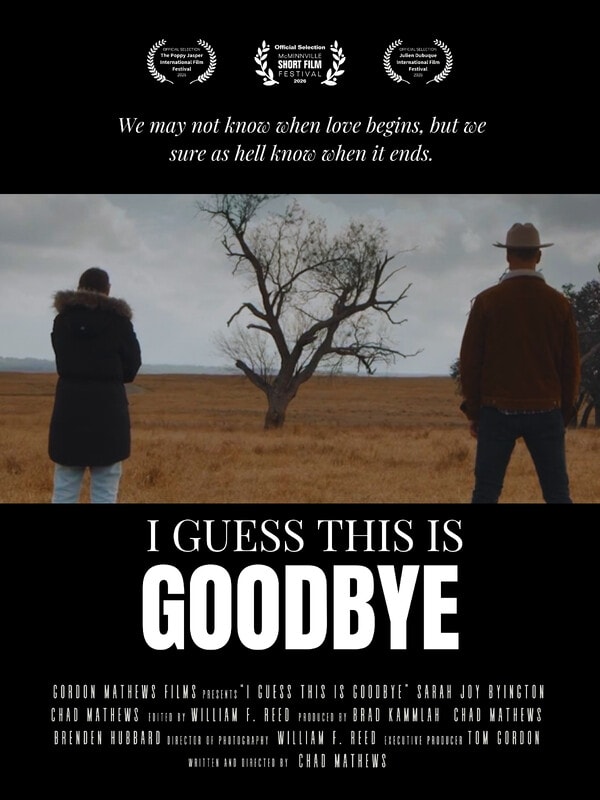 I Guess This Is Goodbye poster
