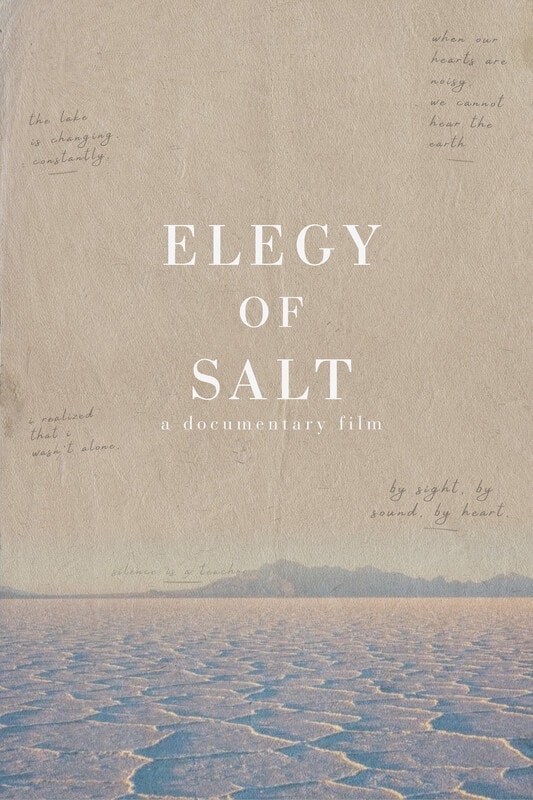 Elegy of Salt poster